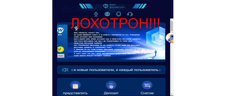 Wdcquantify.com отзывы