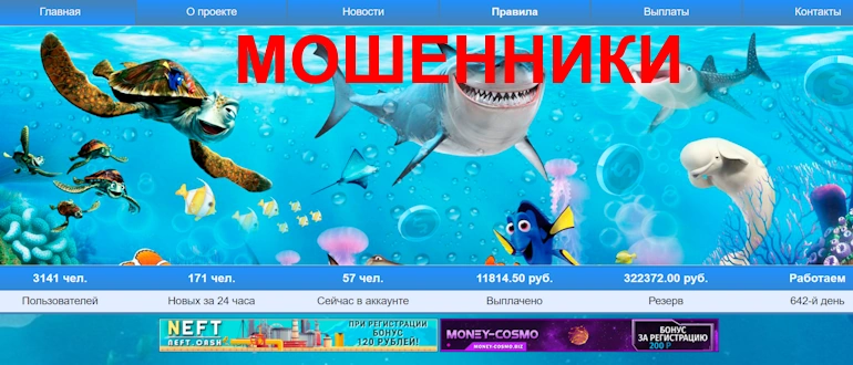 Nemo Money отзывы
