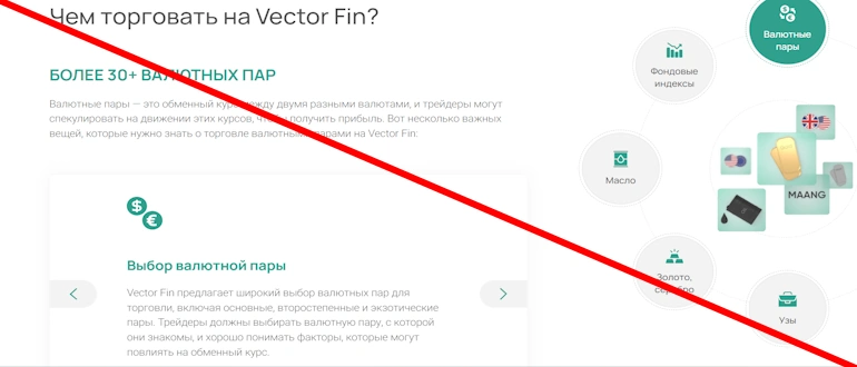 Vector Fin отзывы