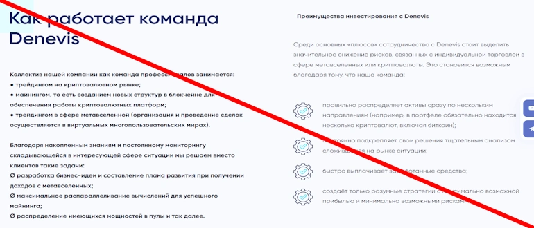 DeneVis отзывы