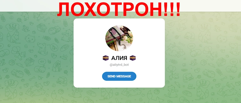 АЛИЯ отзывы