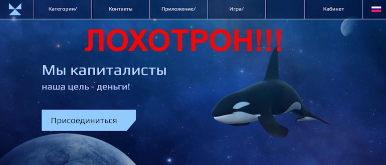 Capital Whale отзывы