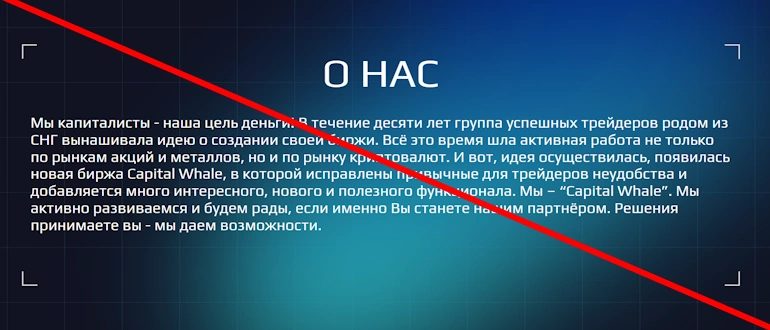 Capital Whale отзывы