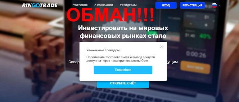 Ринго Трейд отзывы
