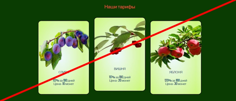 Фруктовая Ферма отзывы