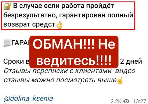 Ксения долина инвестор отзывы