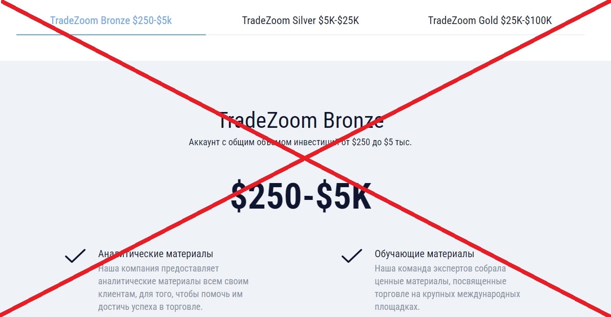 TradeZoom – реальные отзывы и проверка брокера tradezoom.pro