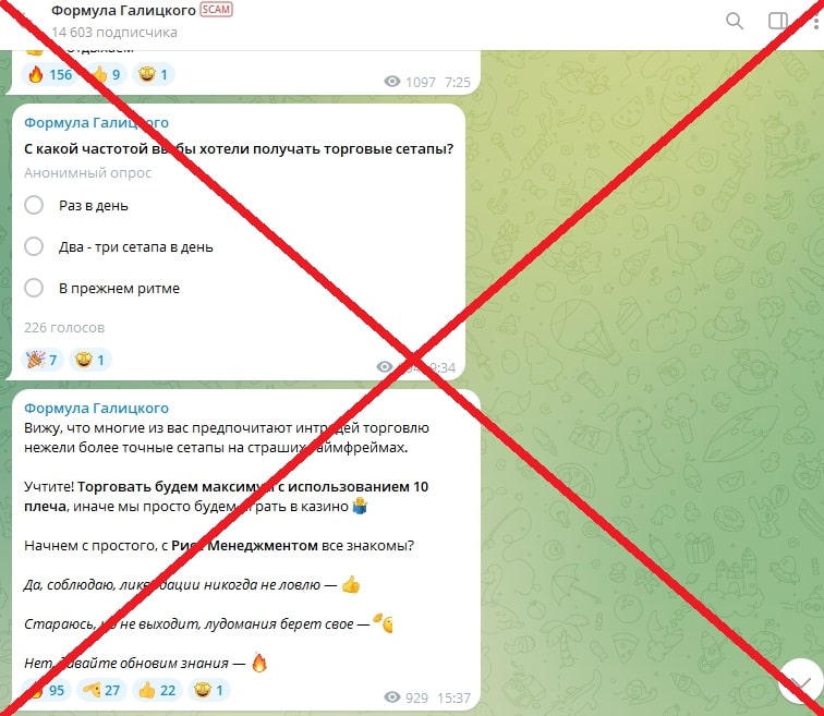 Формула Галицкого – реальные отзывы и обзор проекта