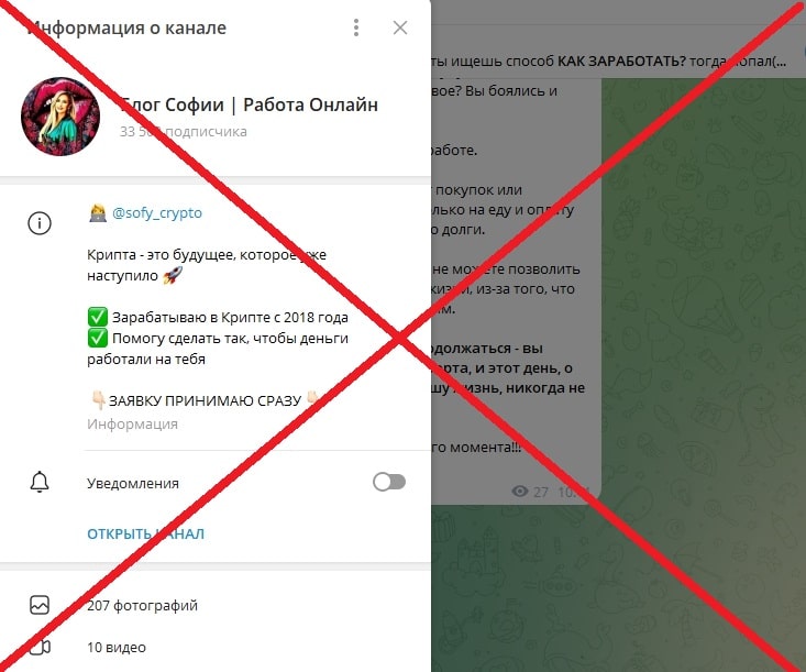 Блог Софии | Работа Онлайн – обзор и отзывы о Телеграм-канале