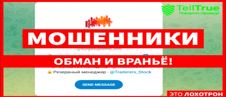SurgeSupreme отзывы