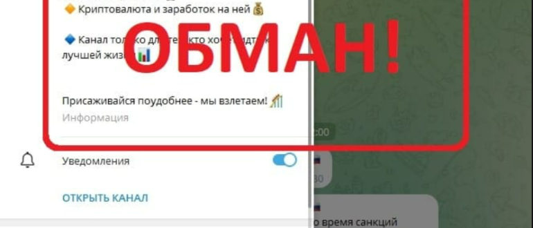 RiseElite отзывы