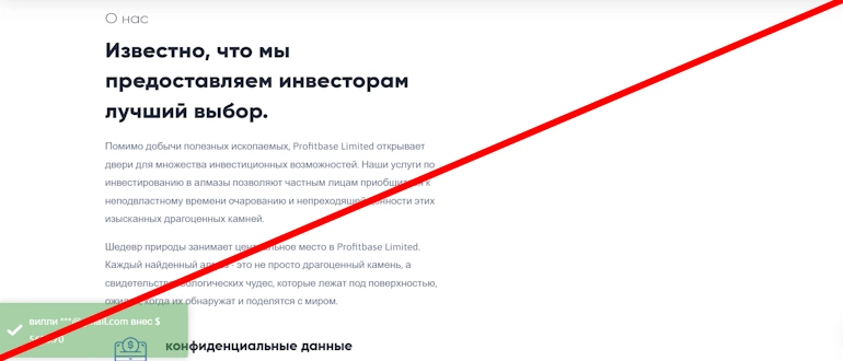 Profit Base отзывы