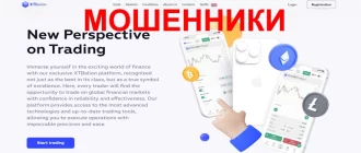 XTbelion отзывы
