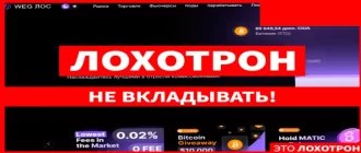 Weglos отзывы