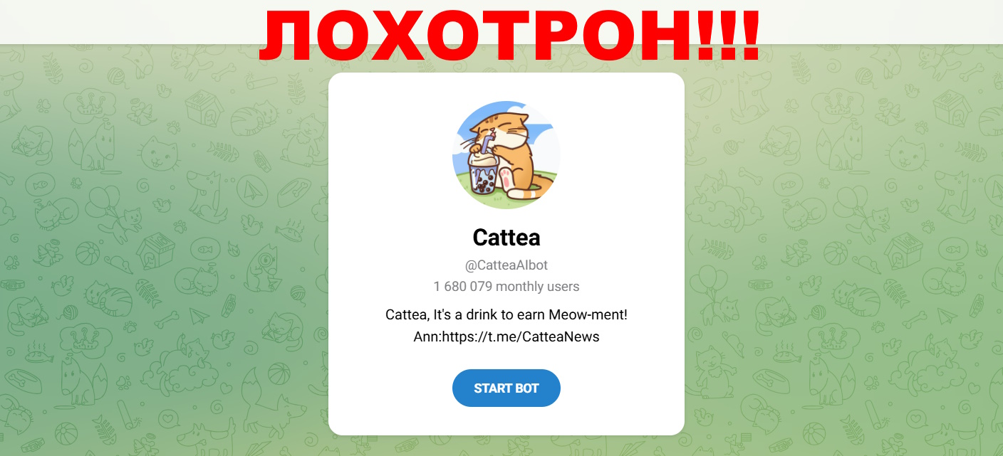 Cattea — отзывы