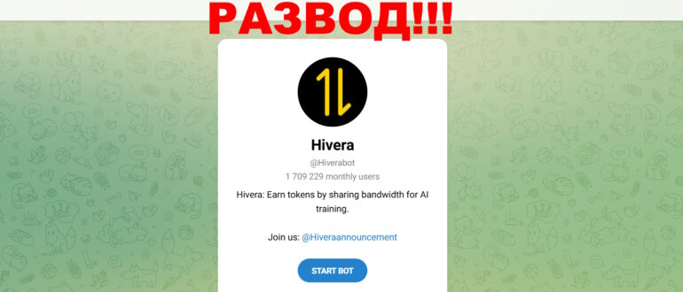 Hivera — отзывы