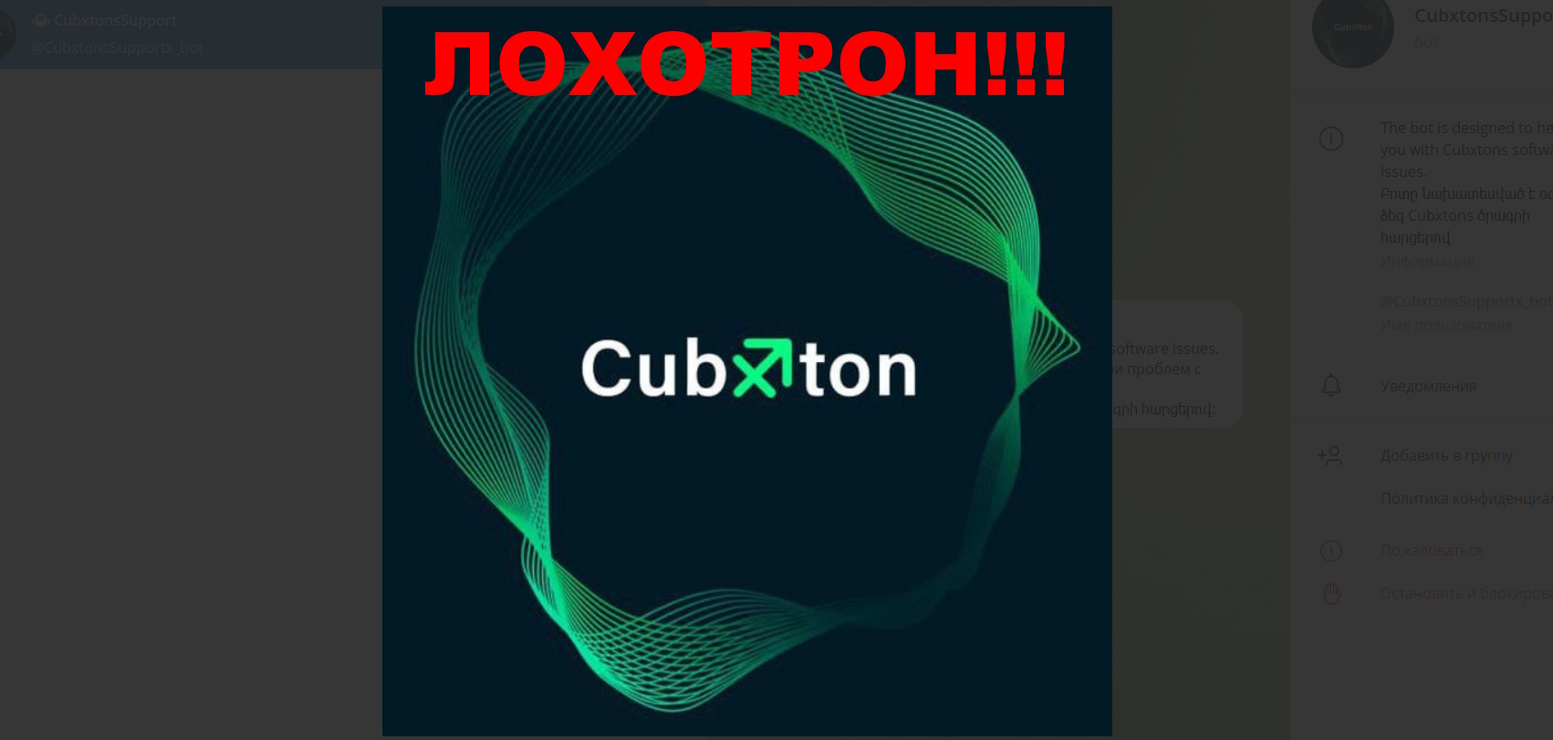 Cubxton bot отзывы