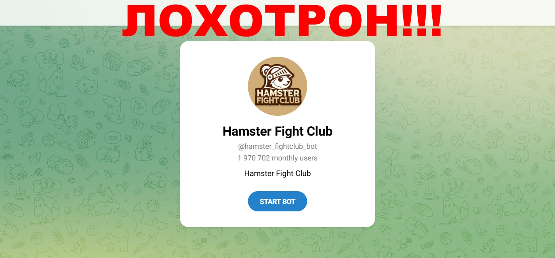 Hamster Fight Club — отзывы