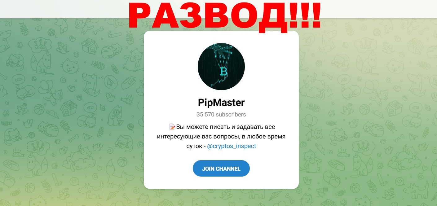 Pipmaster отзывы