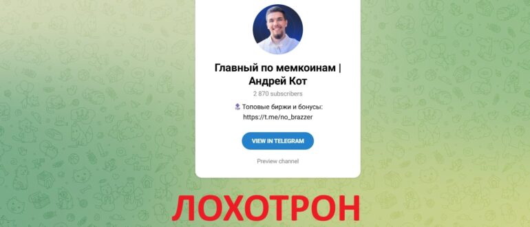 Главный по мемкоинам | Андрей Кот