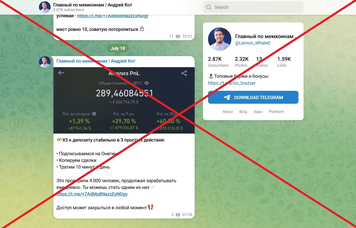 Главный по мемкоинам | Андрей Кот обман