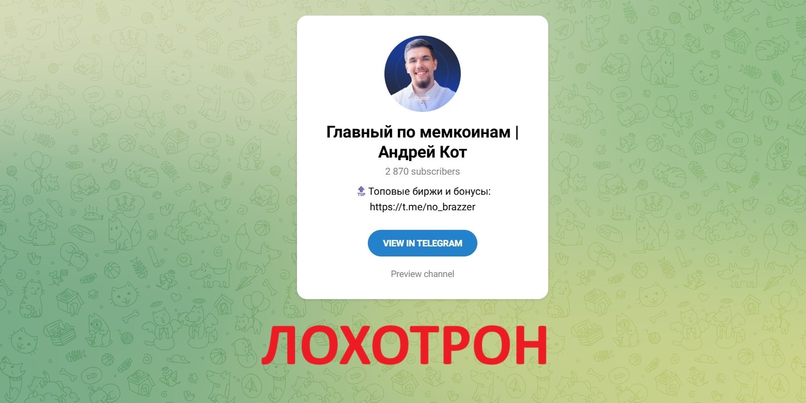 Главный по мемкоинам | Андрей Кот