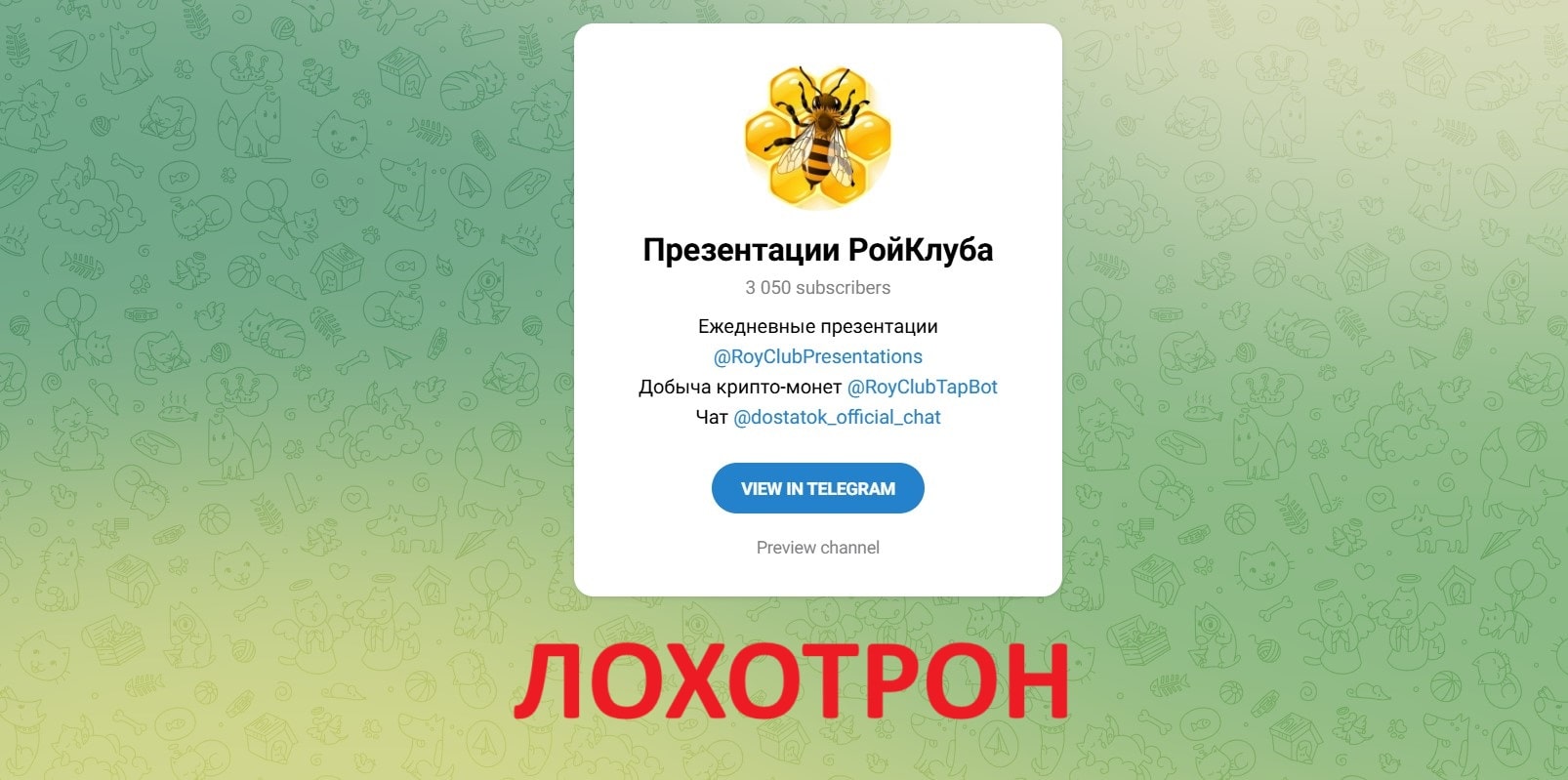 Презентации РойКлуба