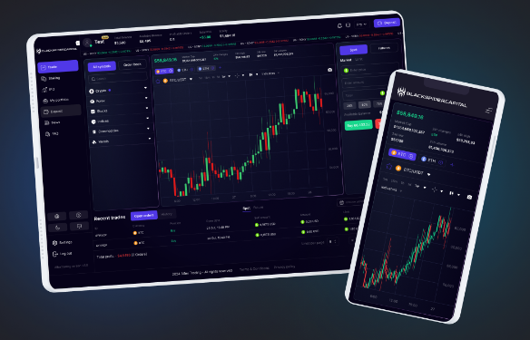 Проект Black Spider Capital — отзывы, разоблачение