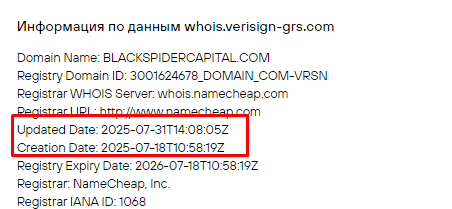 Проект Black Spider Capital — отзывы, разоблачение