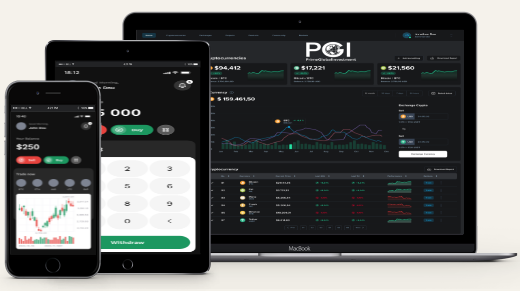 Проект PrimeGlobalInvestment — отзывы, разоблачение