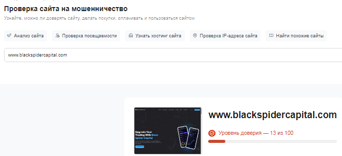 Проект Black Spider Capital — отзывы, разоблачение