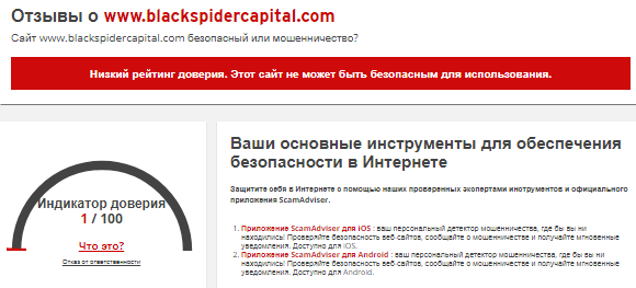 Проект Black Spider Capital — отзывы, разоблачение