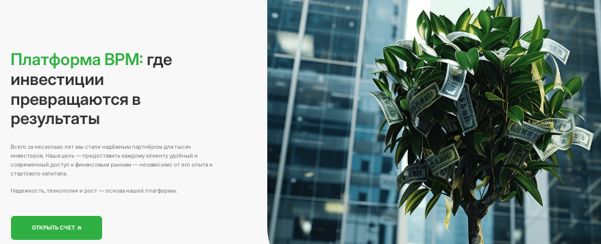 Проект BPM Platform — отзывы, разоблачение