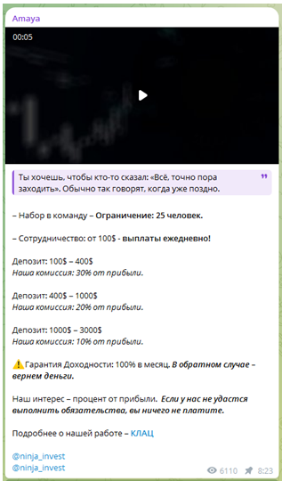 Телеграмм-канал Amaya — отзывы, разоблачение