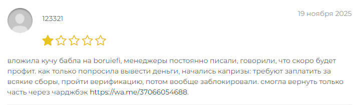 Проект Boruiefi — отзывы, разоблачение