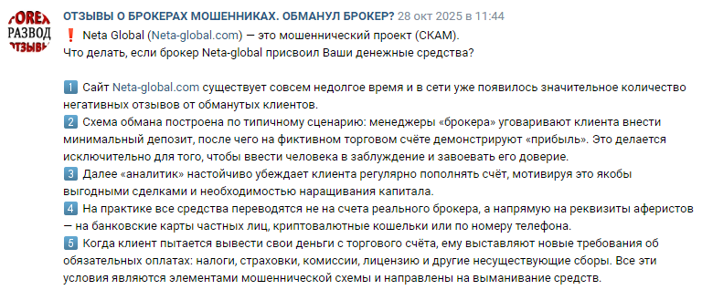 Проект Neta Global — отзывы, разоблачение